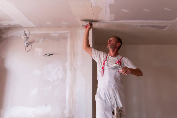 Best Drywall Removal and Disposal  in Centreville, MI